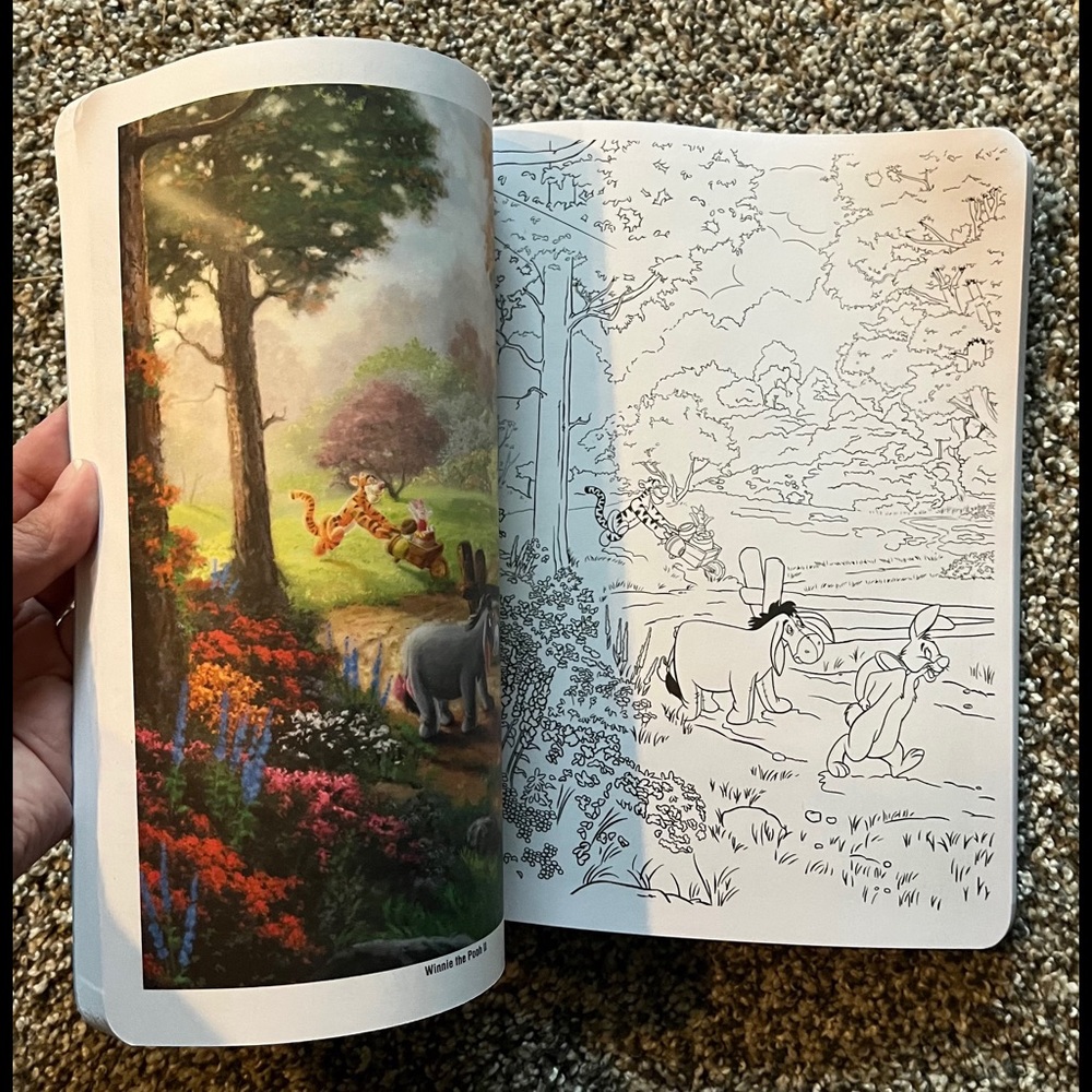 ✨ HP ✨ Disney Dreams Collection (Advanced/Adult) Coloring Book by... - Picture 11 of 12